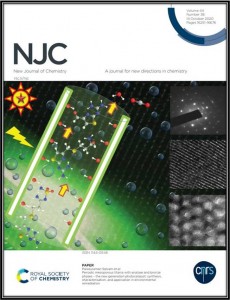 Cover-Page-NJC